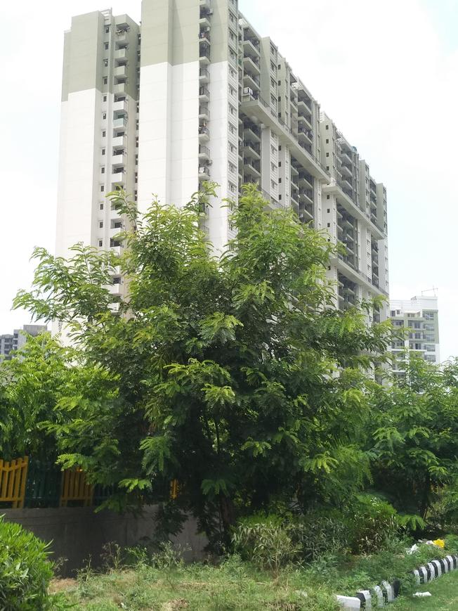 Eldeco Edge - Image 5