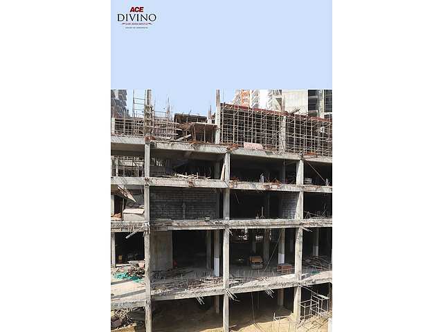 ACE Divino - Image 50