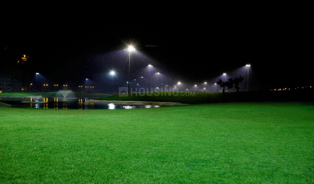 Ambience Caitriona - Image 15