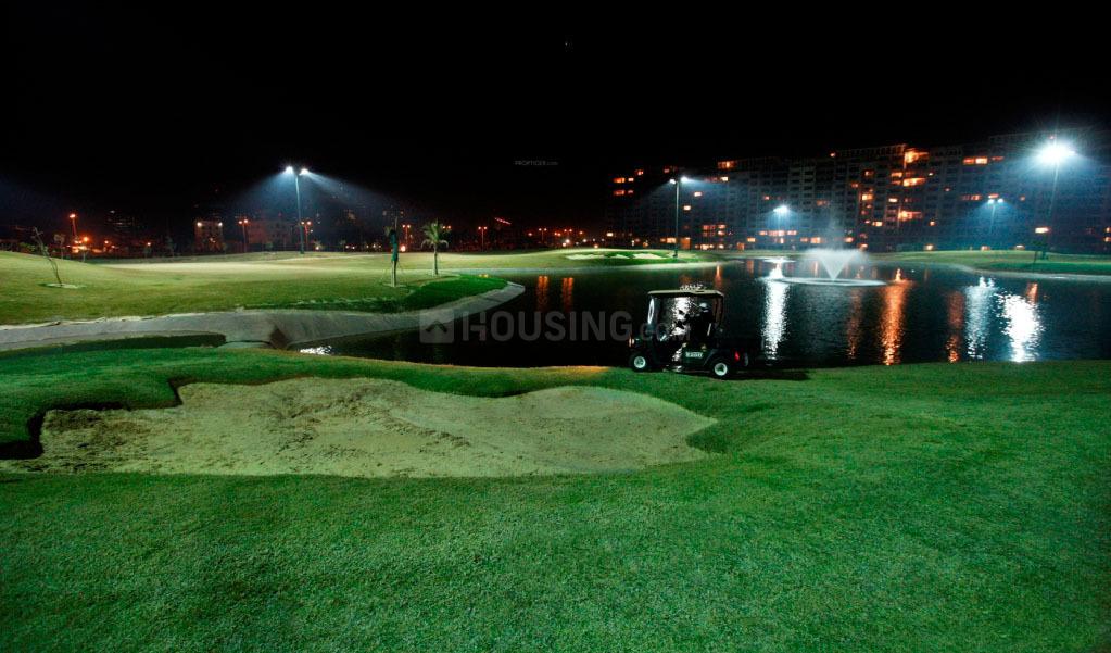 Ambience Caitriona - Image 16