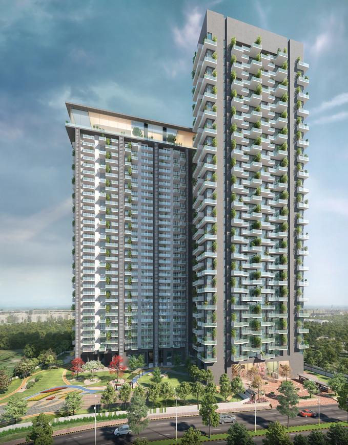 Apex D Rio - Image 3