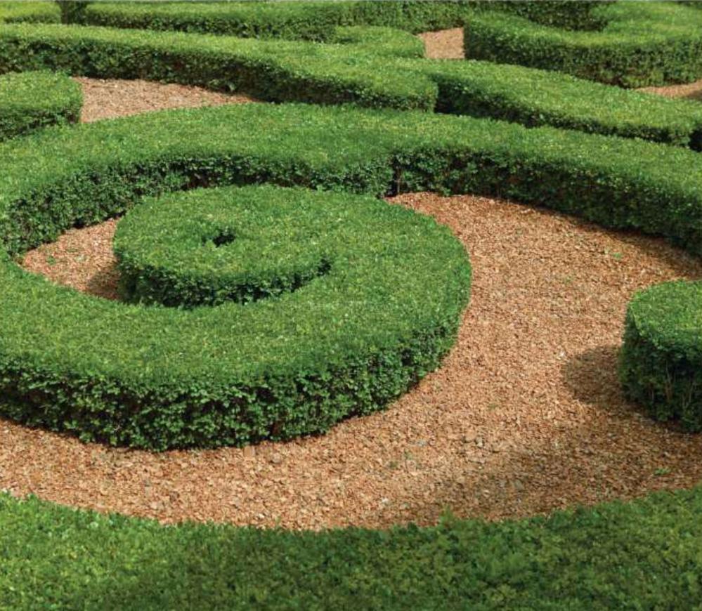 Indiabulls Enigma Phase 1 - Image 5