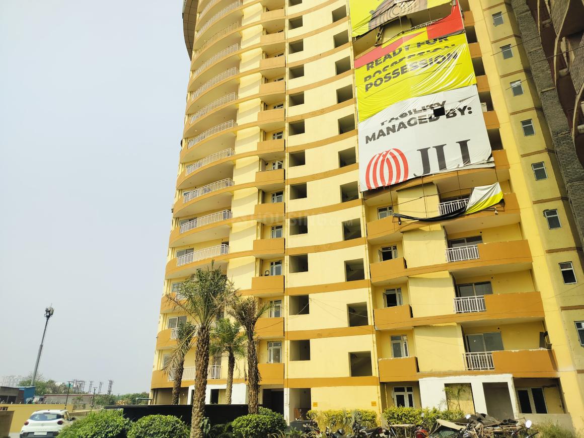 Rise Organic Homes - Image 3