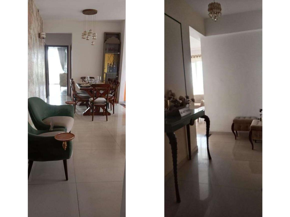 Home And Soul Beetle Lap - Image 13