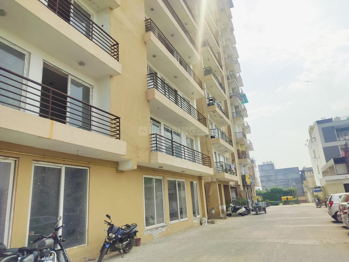 VXL French Arcade - Image 4