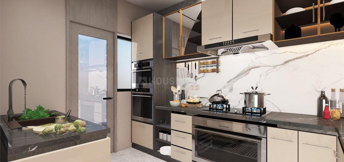 The Element - Image 6