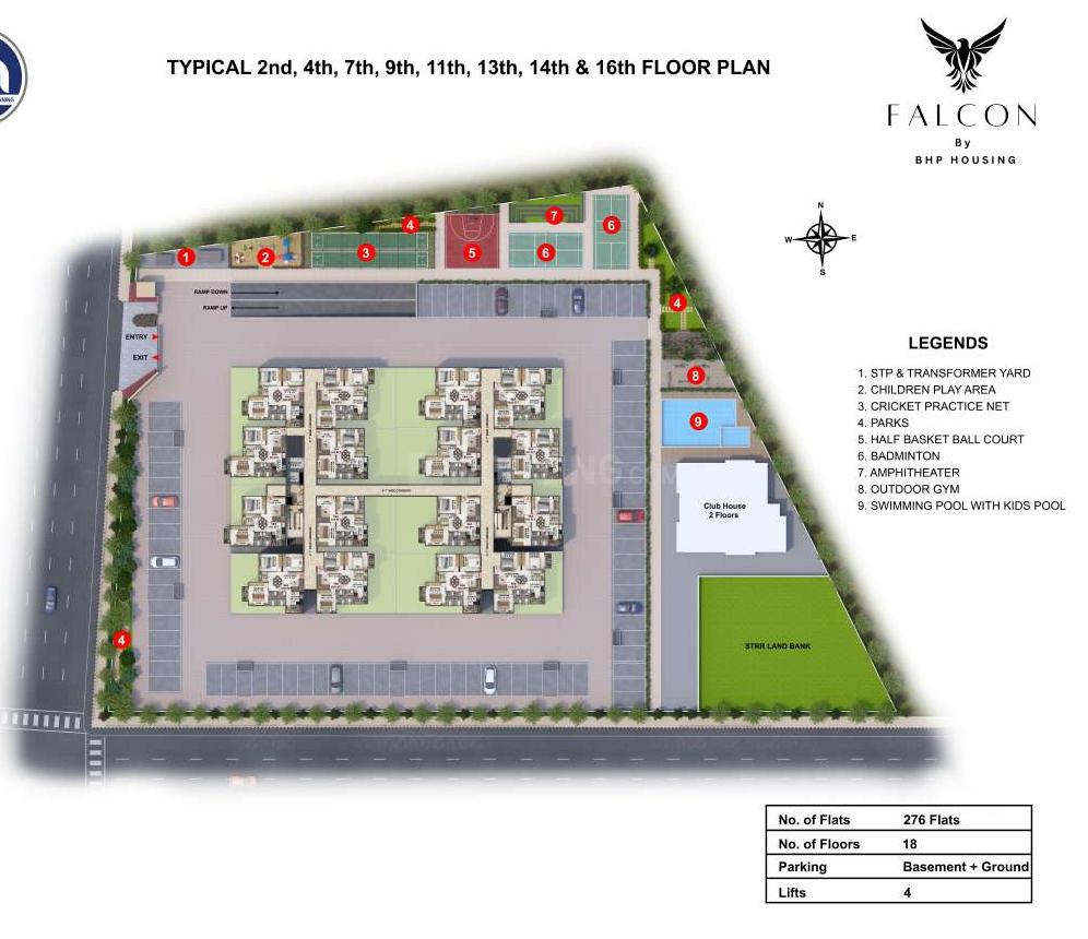 Falcon - Image 30