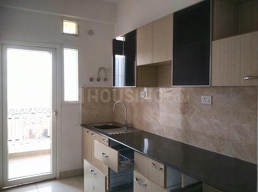 Supertech The Romano - Image 9