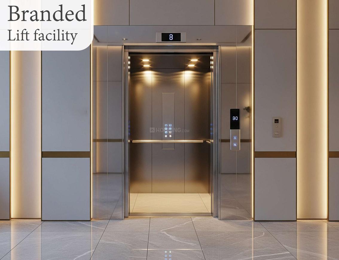 POF The Avant - Image 4