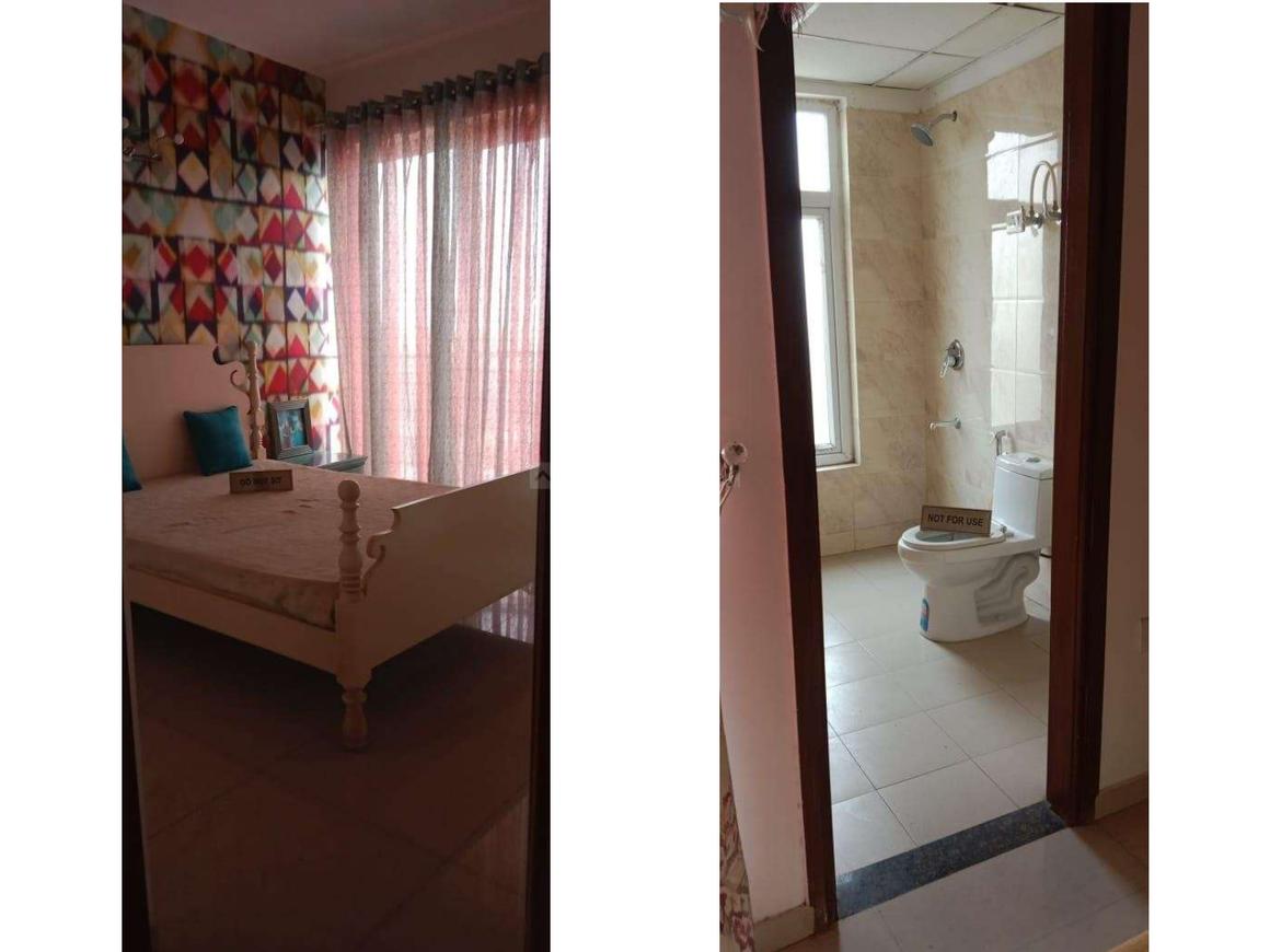 Home And Soul Beetle Lap - Image 14