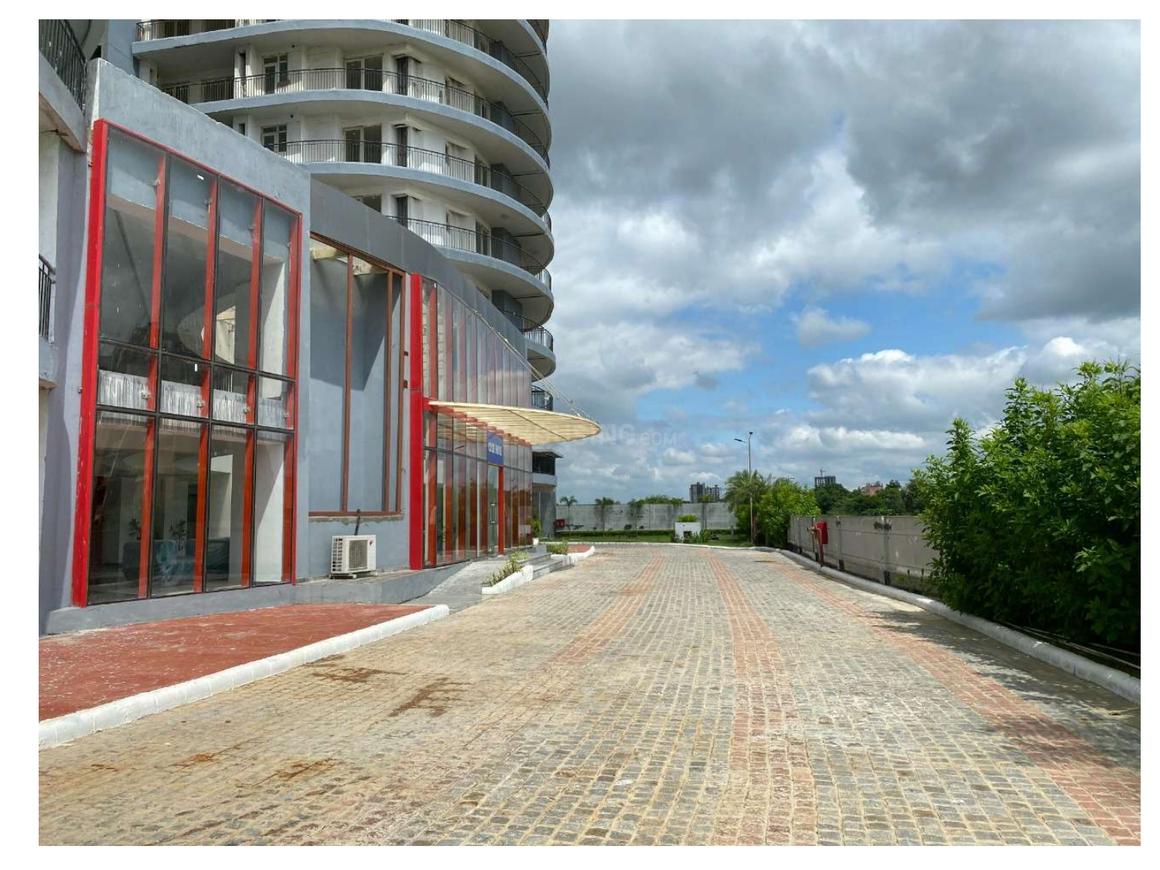 Home And Soul Beetle Lap - Image 15