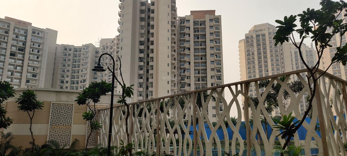 Oasis Grandstand - Image 7