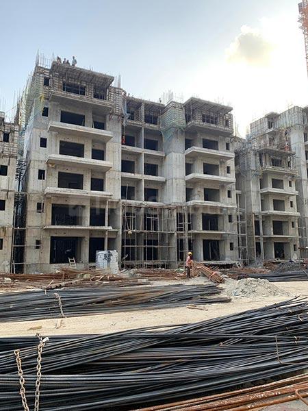 ACE Divino - Image 51