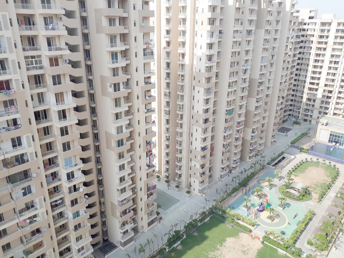 ACE Group Platinum Zeta 1 - Image 10