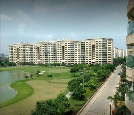 Ambience Caitriona - Image 4