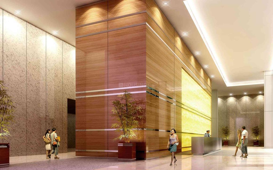 Saha Amadeus - Image 8