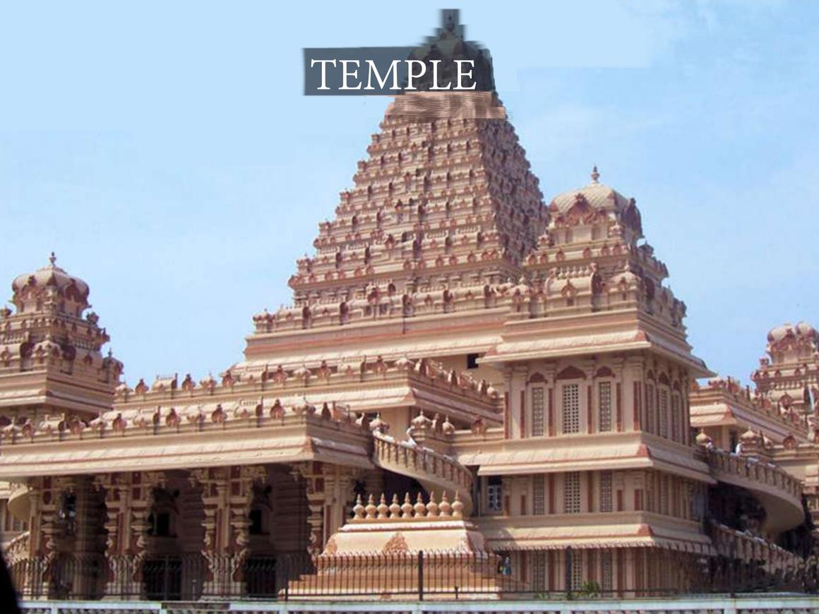 POF The Avant - Image 3