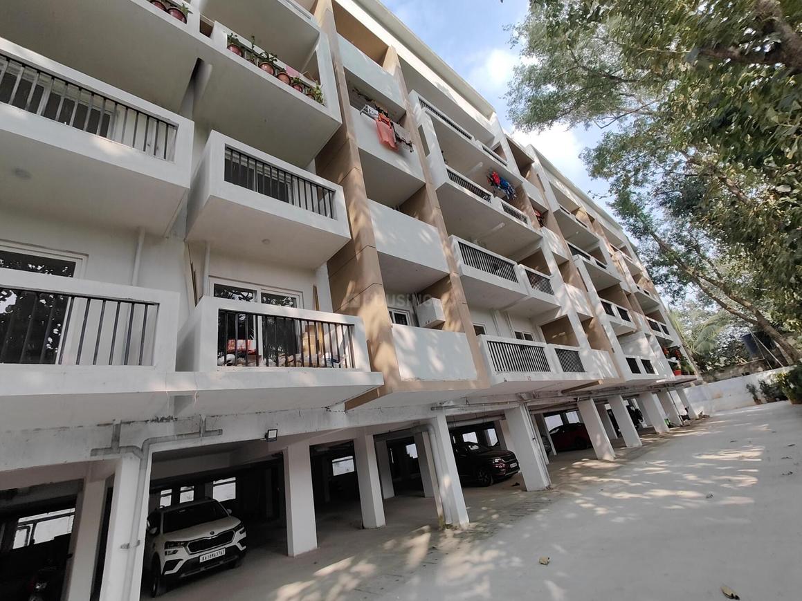 Mahaveer Carnation - Image 8