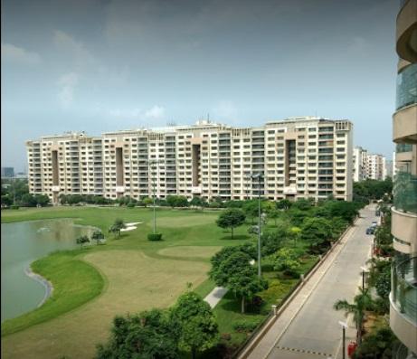 Ambience Caitriona - Image 5