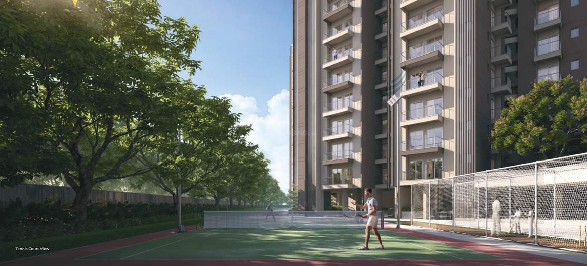 RG Pleiaddes - Image 28