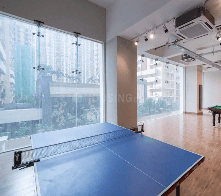 AIG Aigin Royal - Image 36