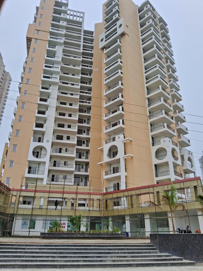 Keltech Kumar Imperial Greens - Image 19