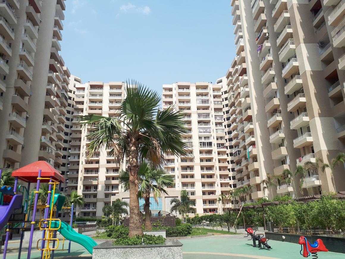 ACE Group Platinum Zeta 1 - Image 11