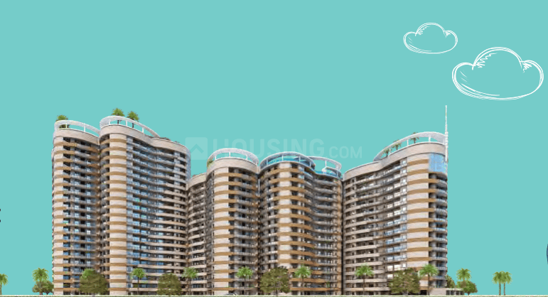 Rise Organic Liftopia - Image 2