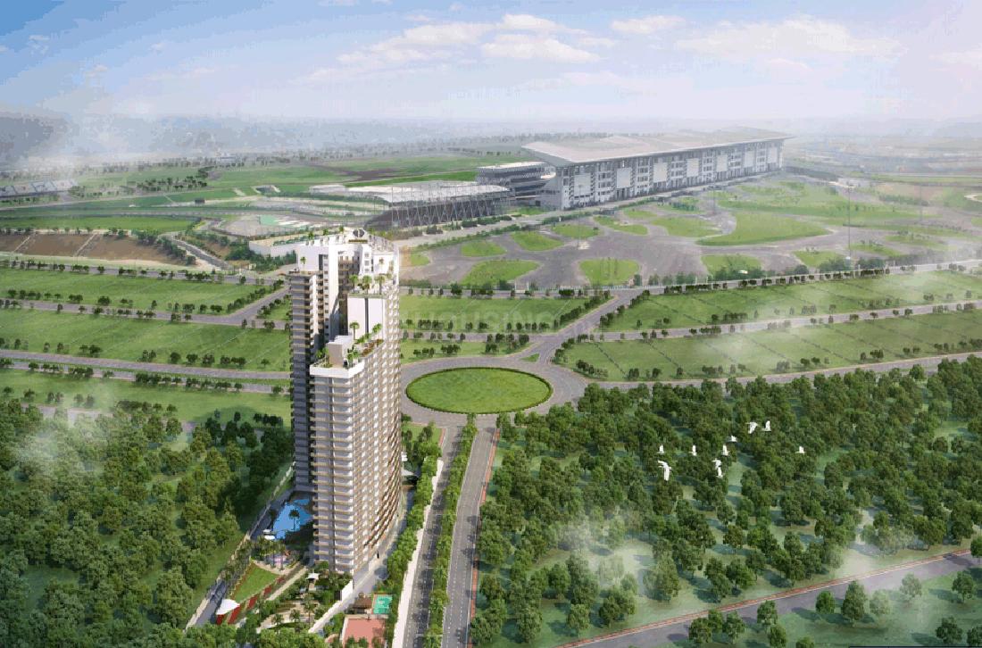 F Premiere - Image 2