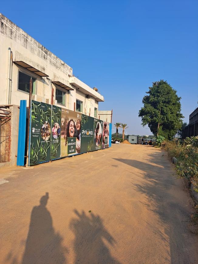 Pyramid Palm County - Image 6