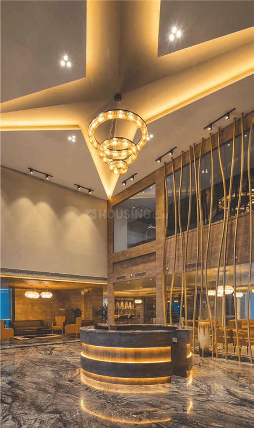 ABA Cleo Gold - Image 11