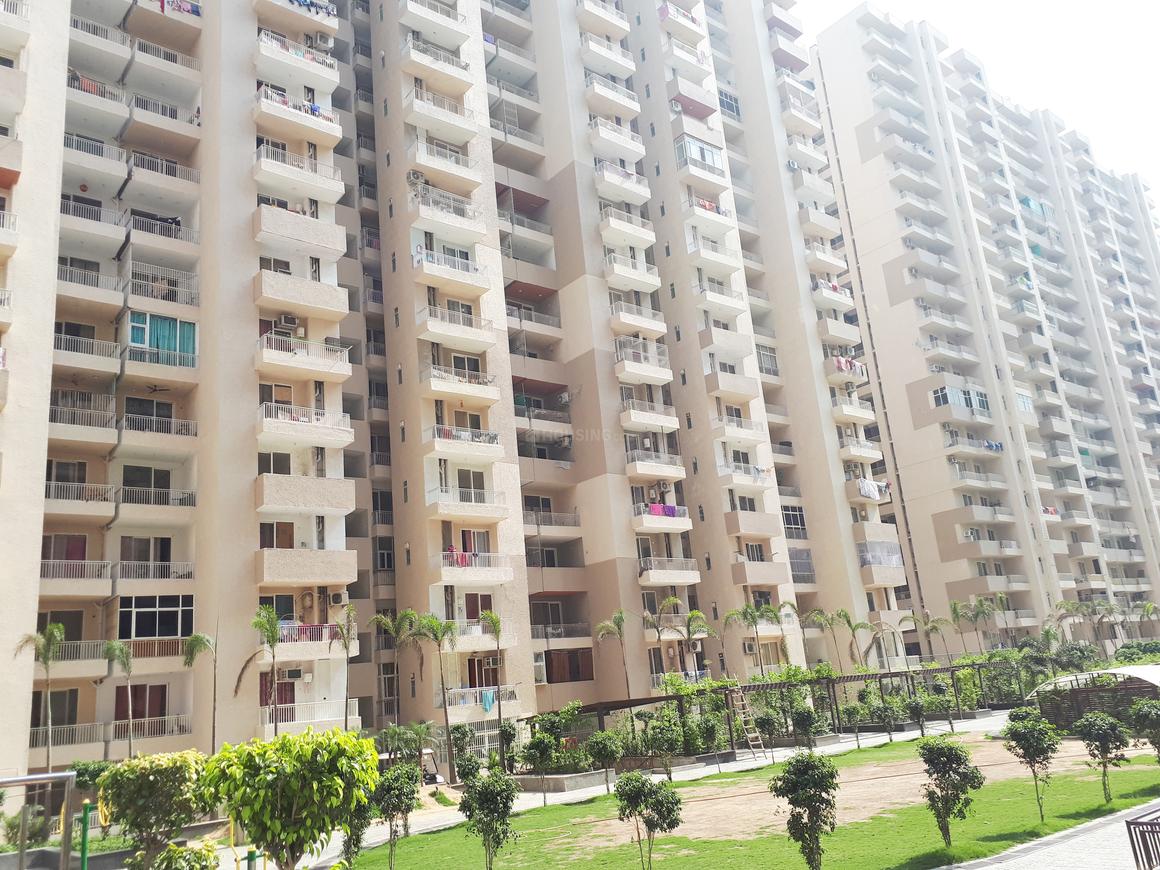 ACE Group Platinum Zeta 1 - Image 12