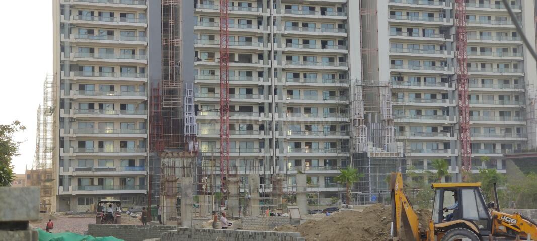 Gulshan Dynasty - Image 18