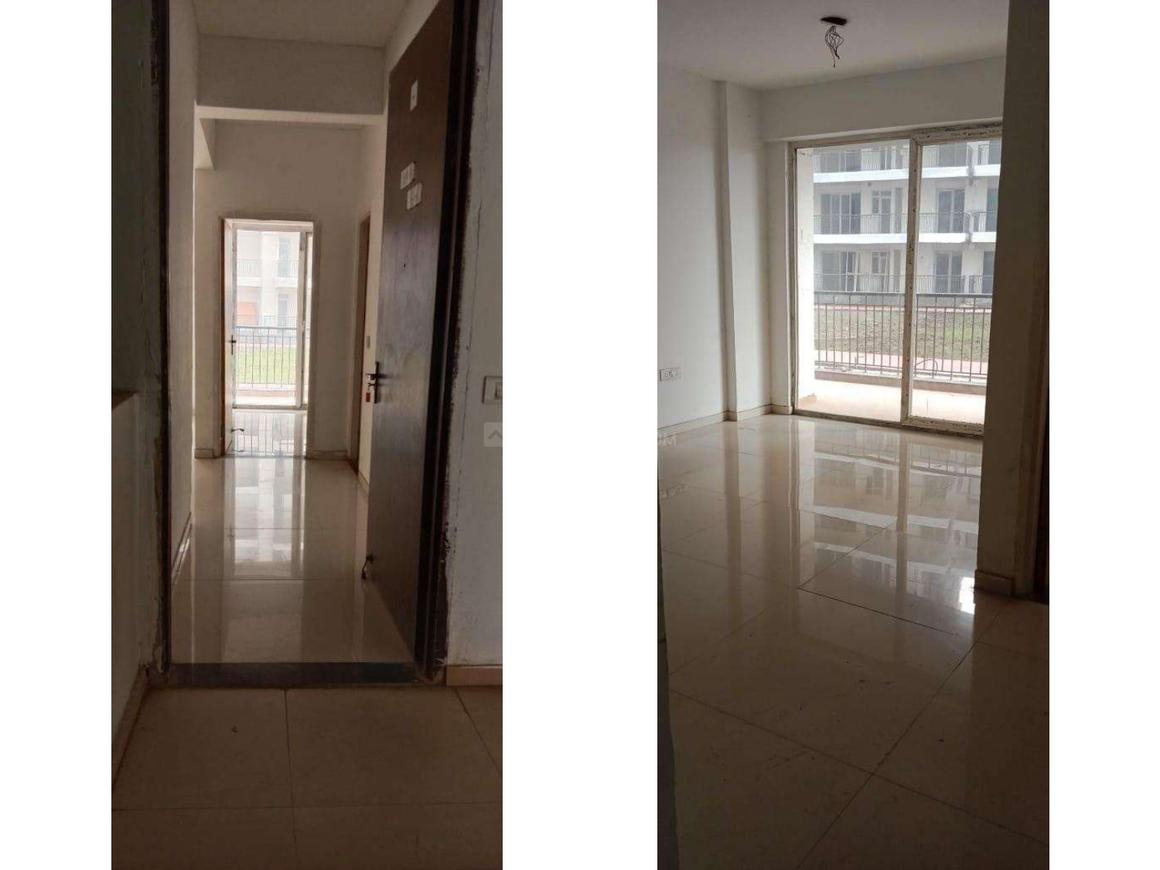 Home And Soul Beetle Lap - Image 16