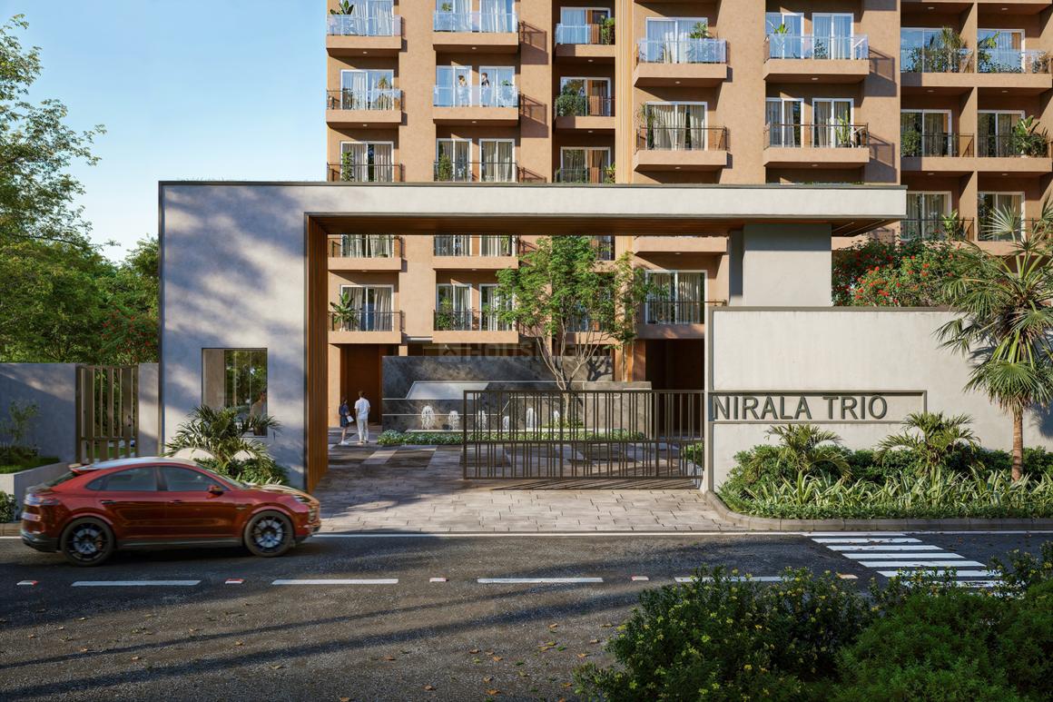 Nirala Trio - Image 3