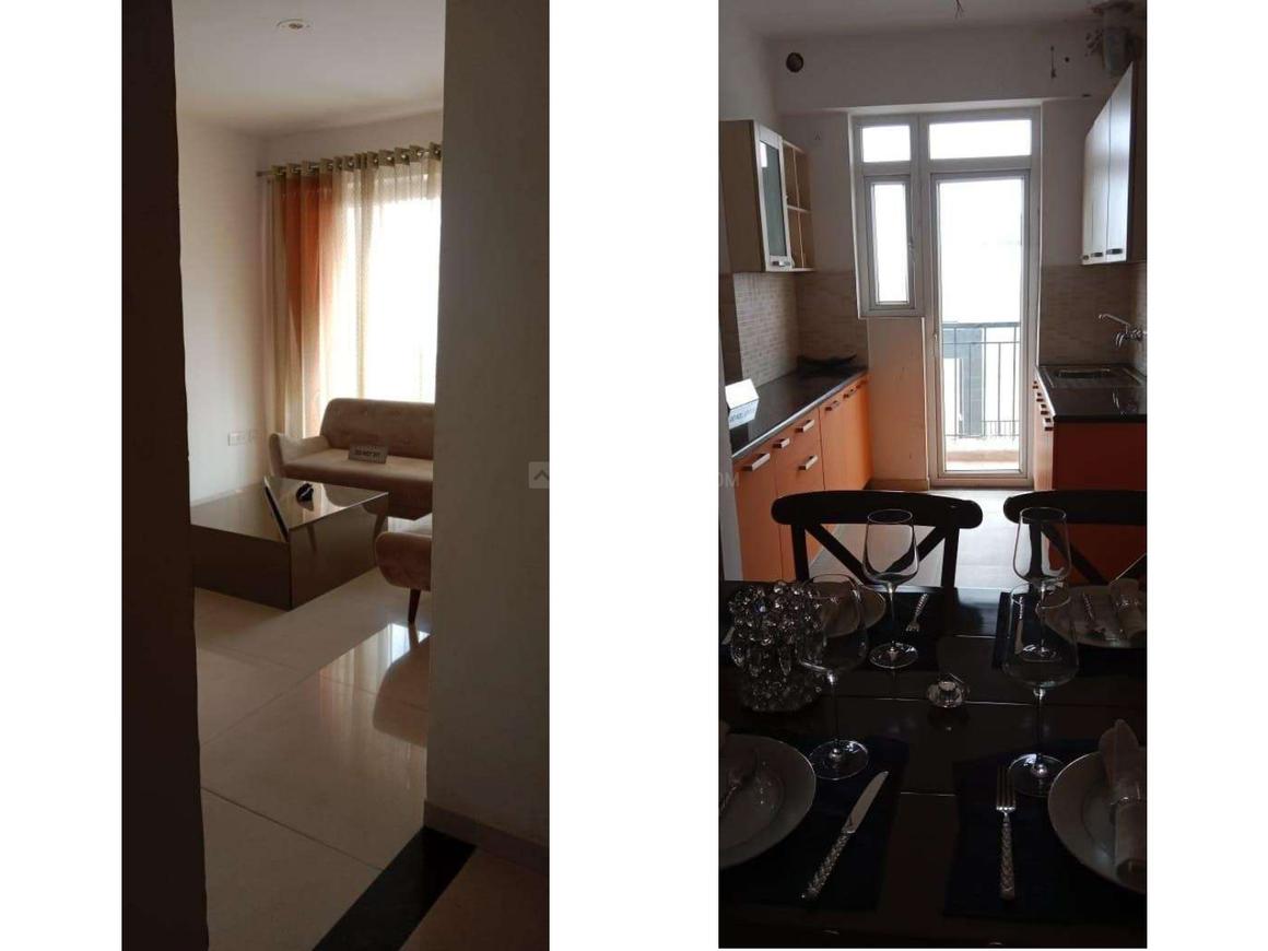 Home And Soul Beetle Lap - Image 17