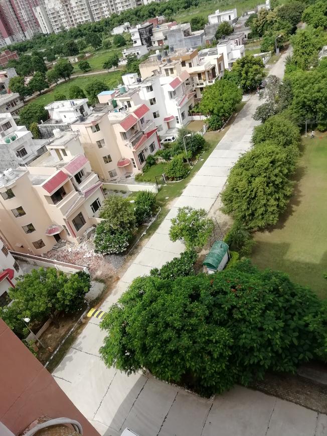 Greenwoods Society - Image 3