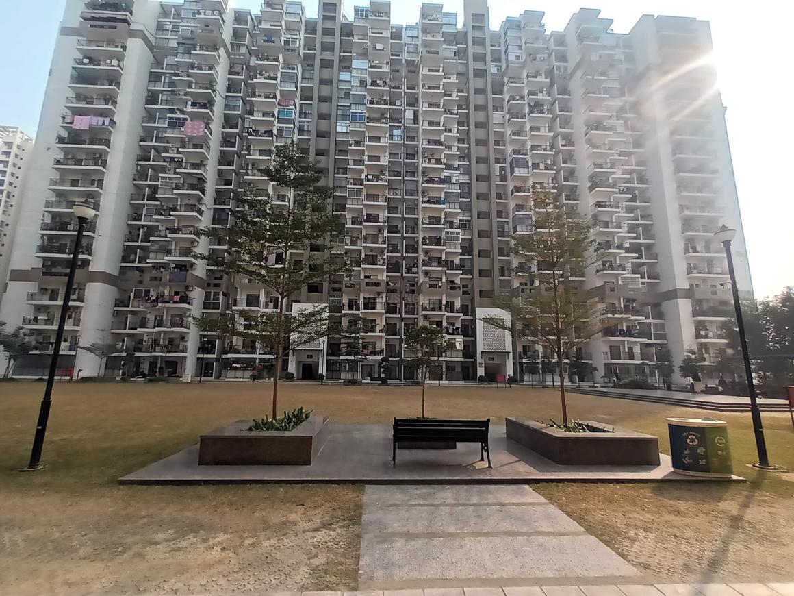 Gulshan Bellina - Image 5