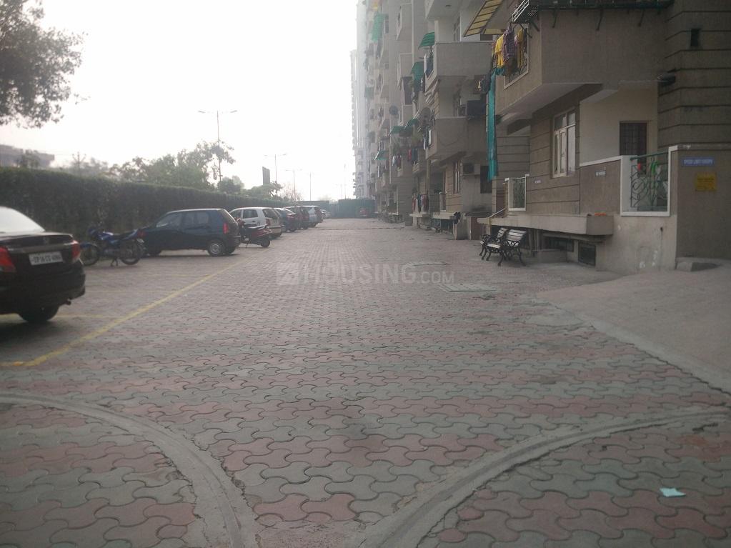 Express Green - Image 6