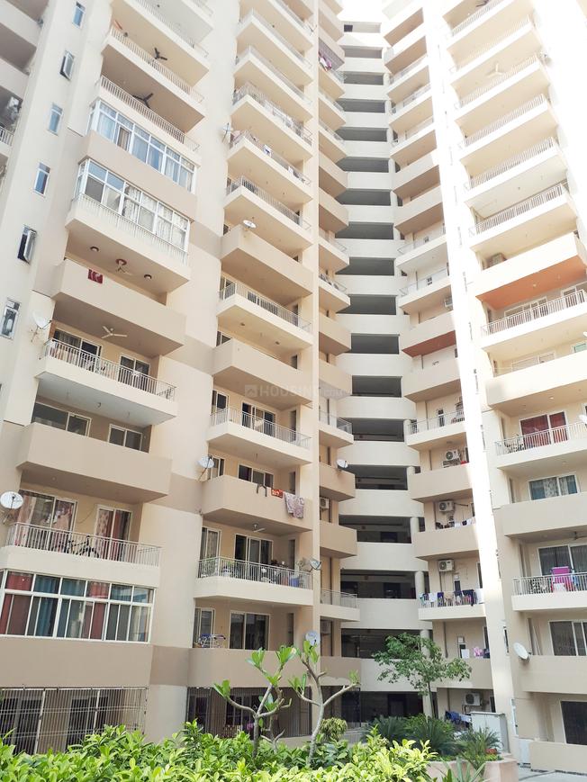 ACE Group Platinum Zeta 1 - Image 14