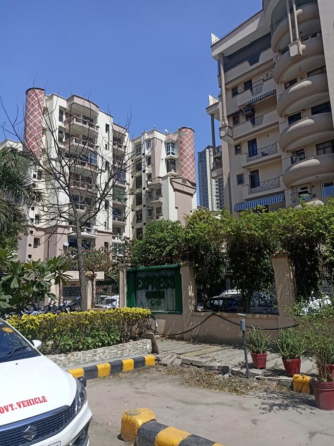 Express Green - Image 2