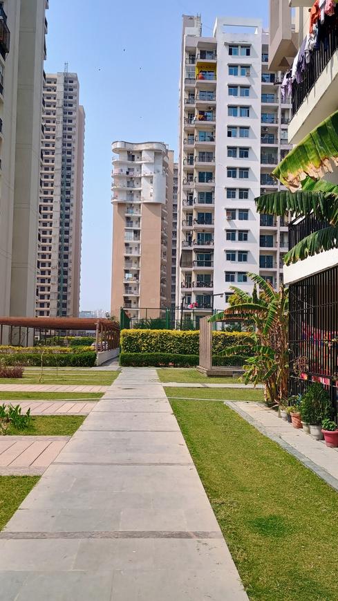 Sikka Karnam Greens - Image 9