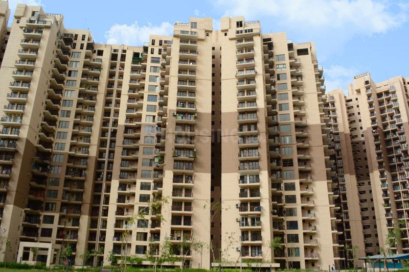 Logix Blossom County - Image 7