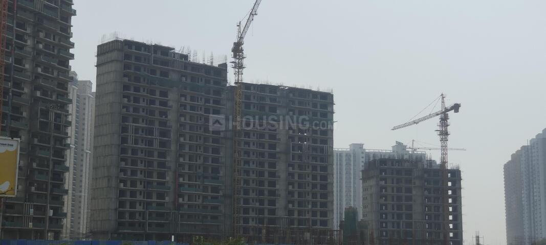 Prateek Canary - Image 47