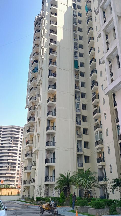 Sikka Karnam Greens - Image 10