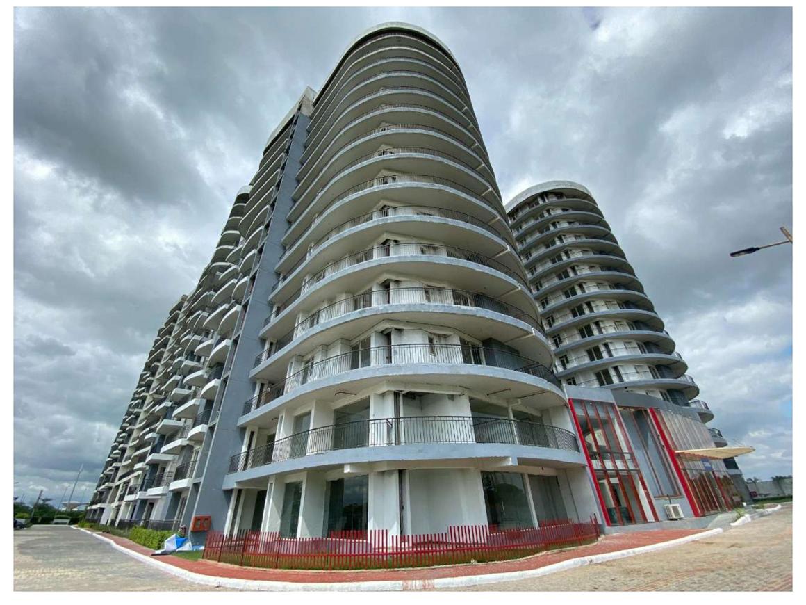 Home And Soul Beetle Lap - Image 18