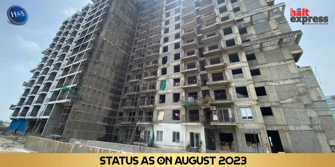 Beetle Orchid - Image 35