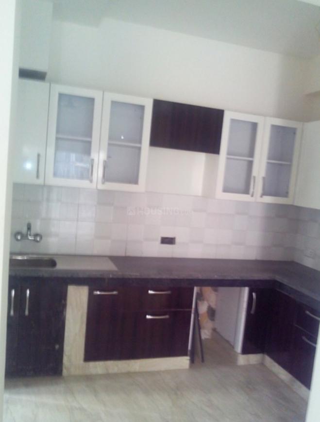 Town White Orchid - Image 9