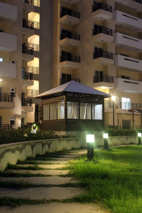 Exotica Fresco - Image 8