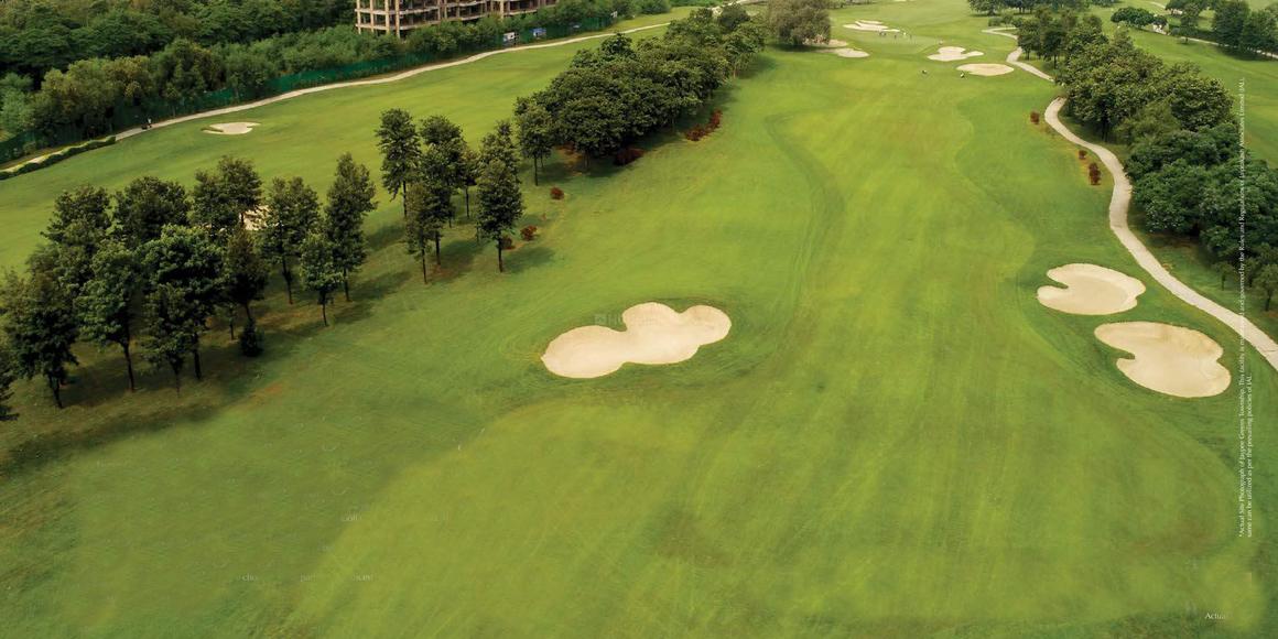 Gaurs The Islands - Image 12